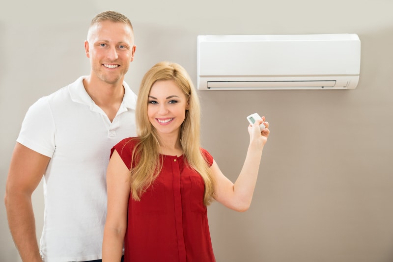 Ductless Mini-Split in Fort Myers, FL